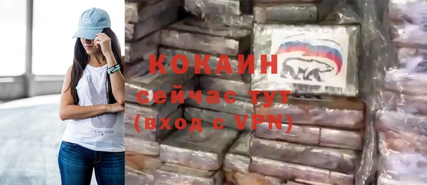 прущие грибы Куйбышев