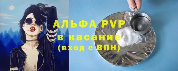 прущие грибы Куйбышев