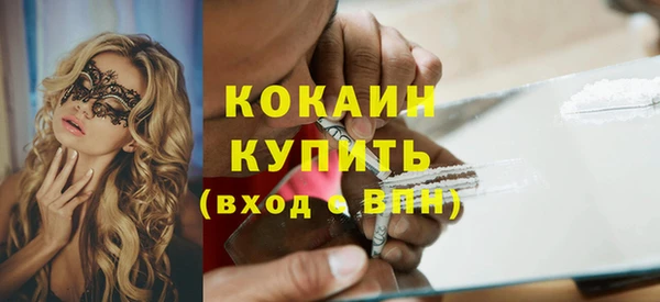 прущие грибы Куйбышев