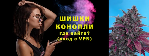 прущие грибы Куйбышев