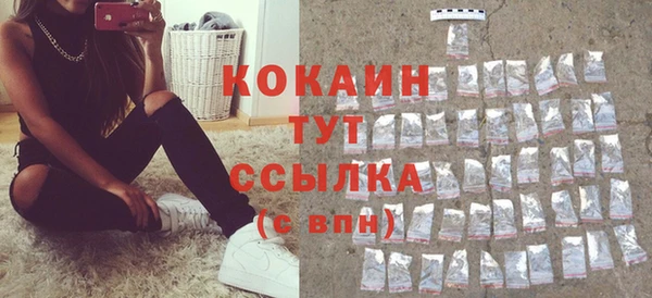 прущие грибы Куйбышев