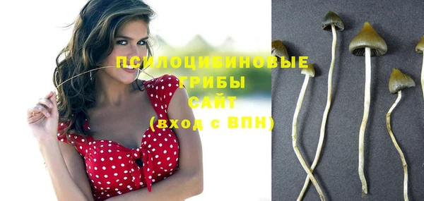 прущие грибы Куйбышев